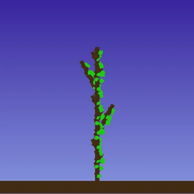 A3 animation by Mariyam Rashid Khan